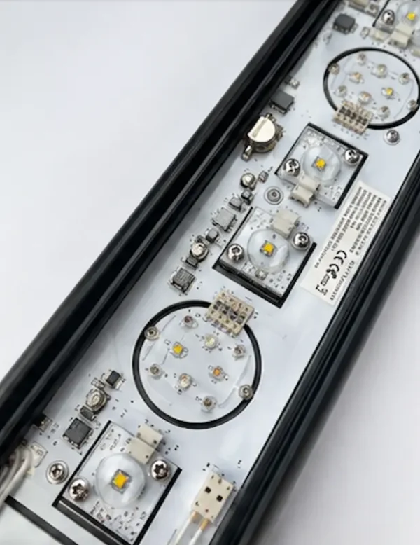 Illumagic Combo Ray G2