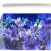 Support rampes Mitras 2:3 et Slimline(1) Support rampes Mitras 2/3 et Slimline